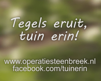 tegels erui tuin erin